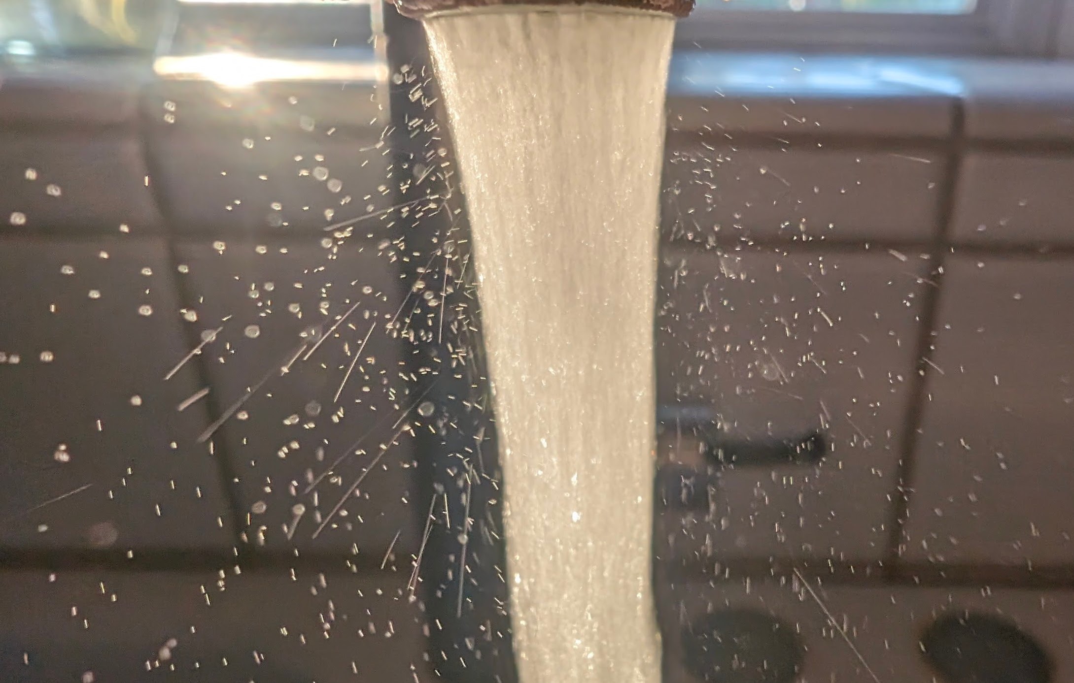 Photography Portfolio 1