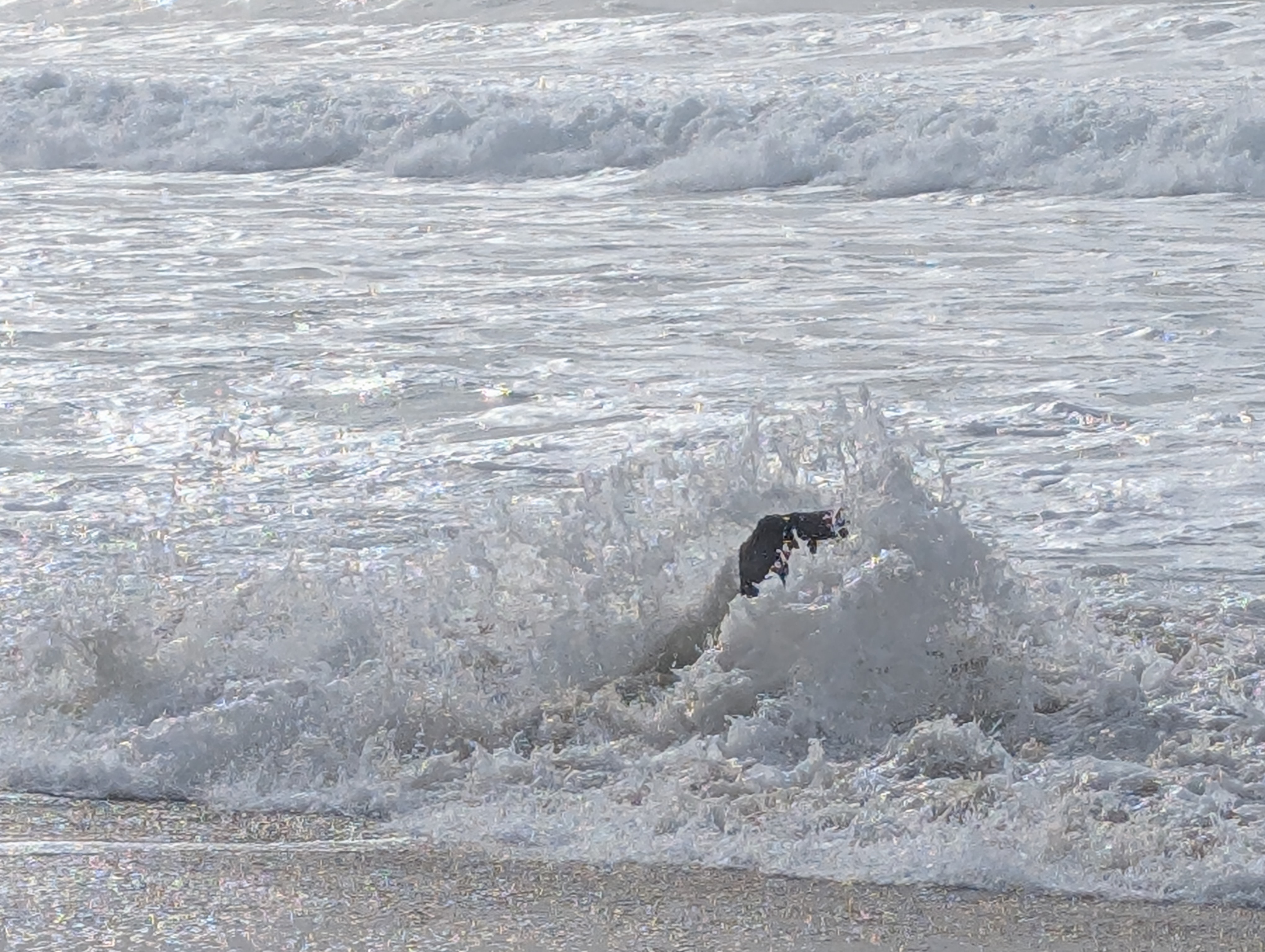 Photography Portfolio 6