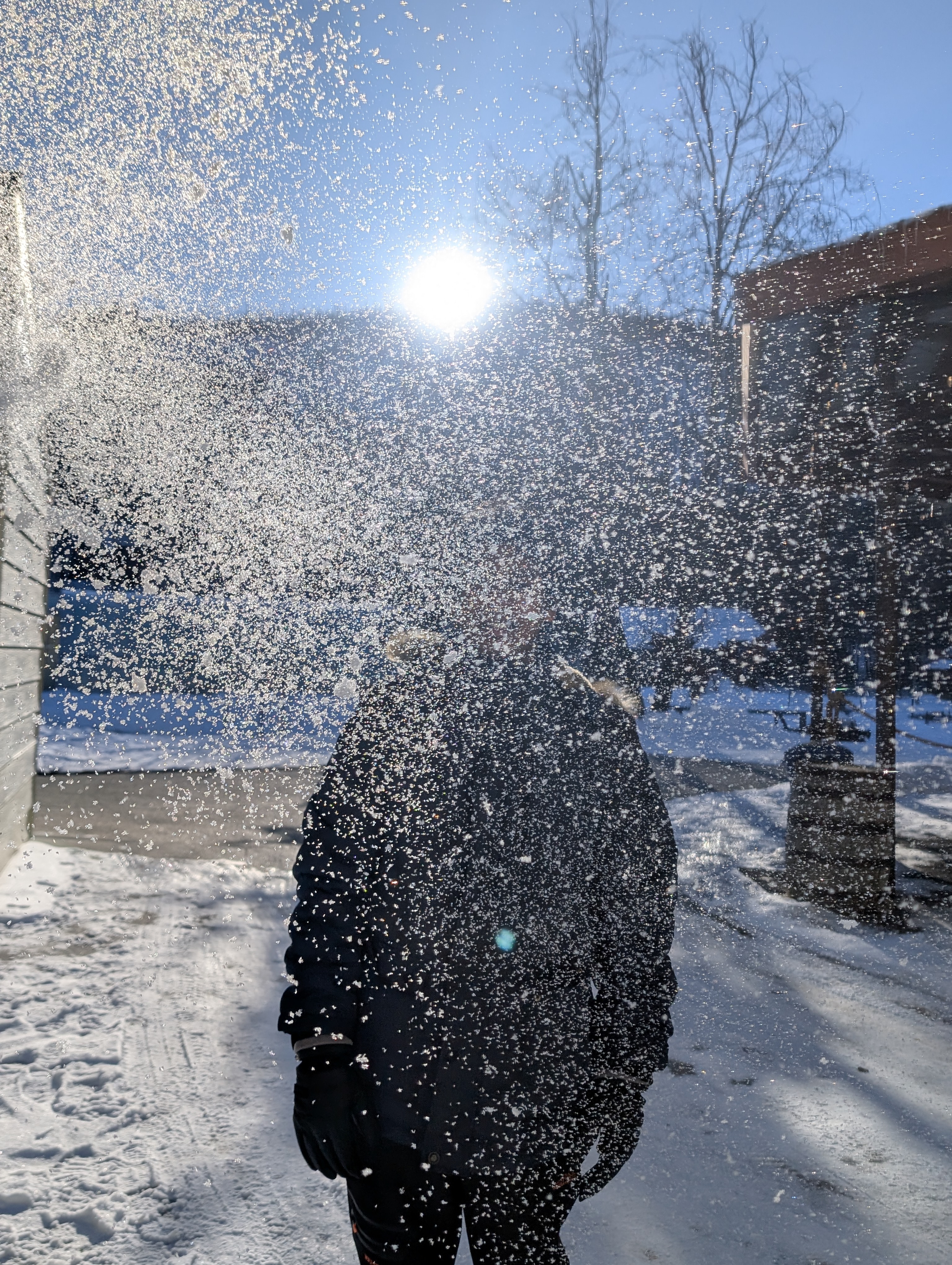 Photography Portfolio 10