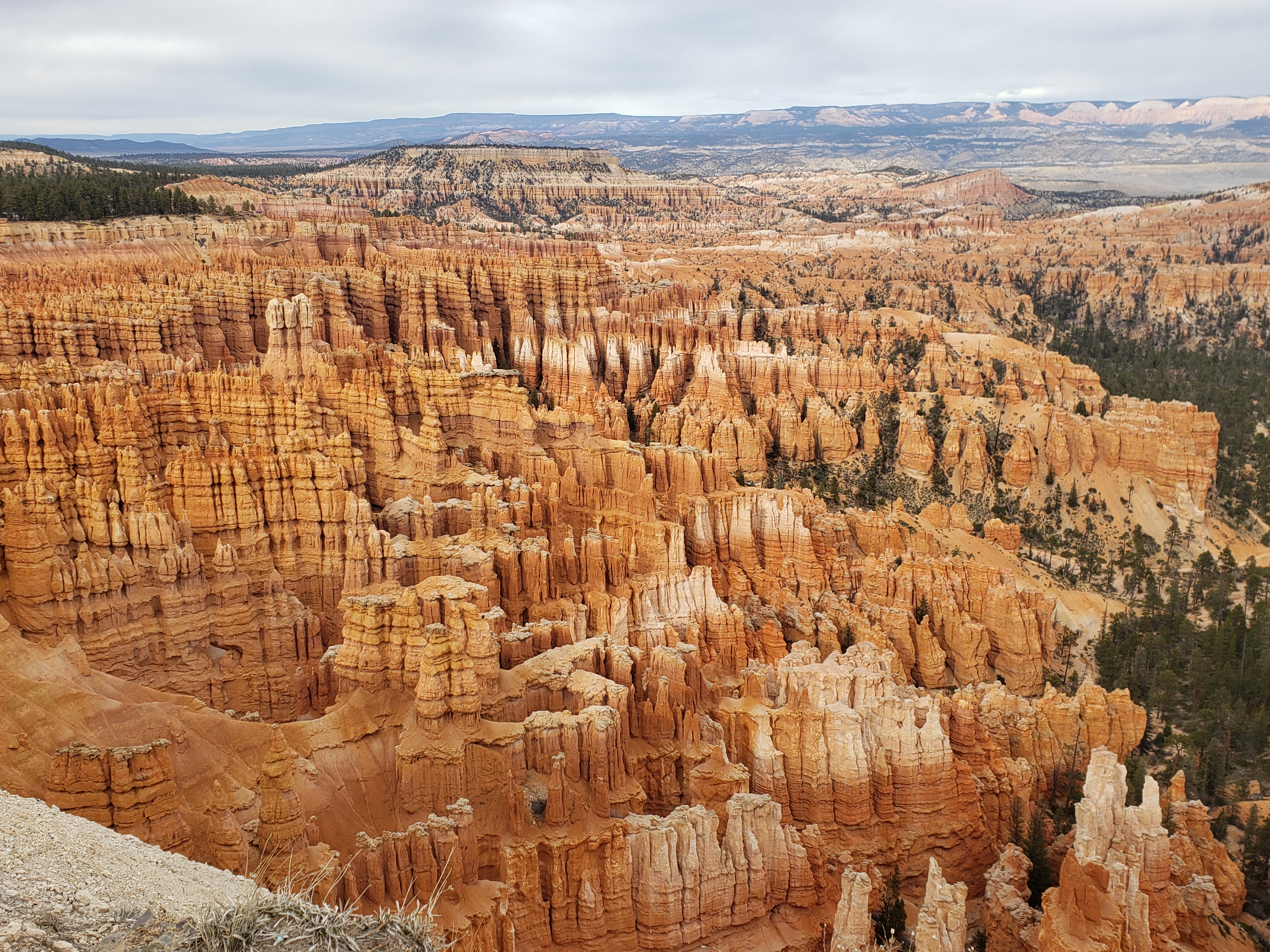 Photography Portfolio 14