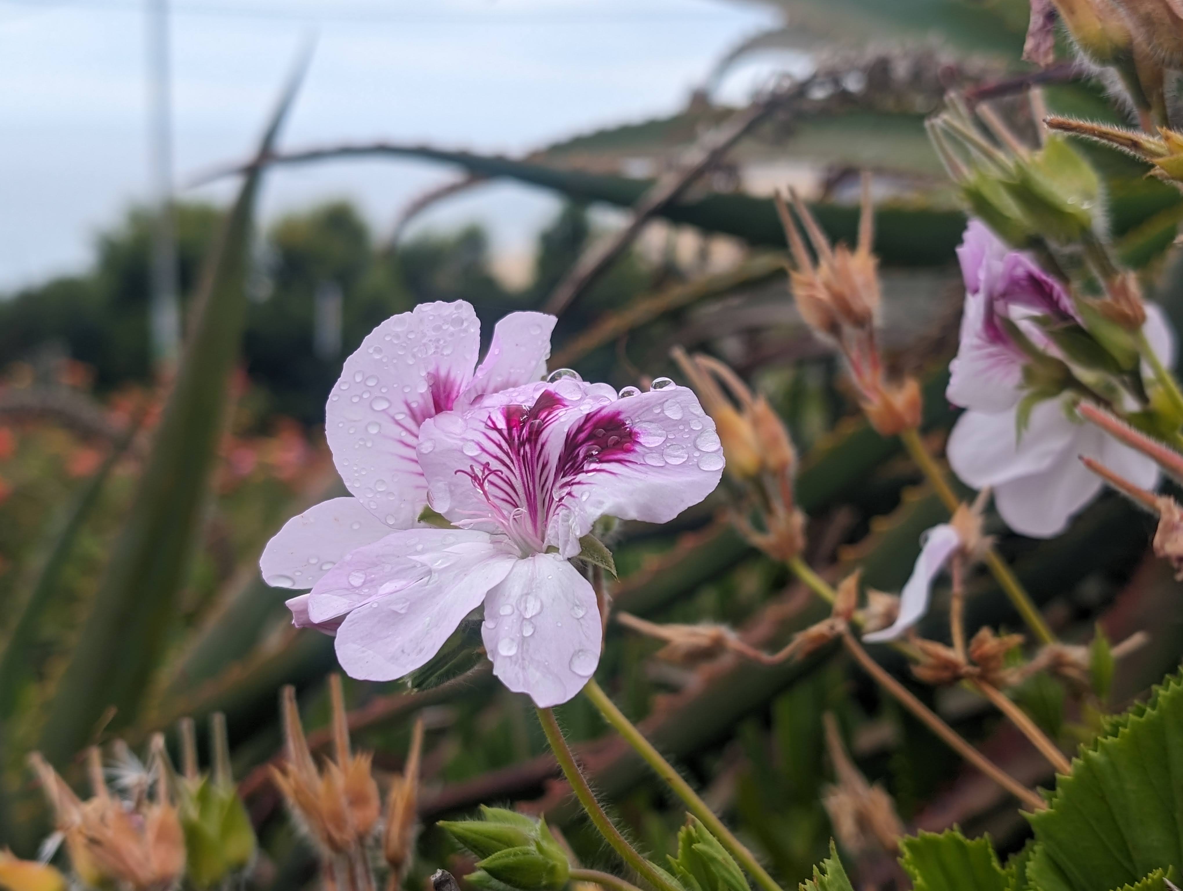 Photography Portfolio 18