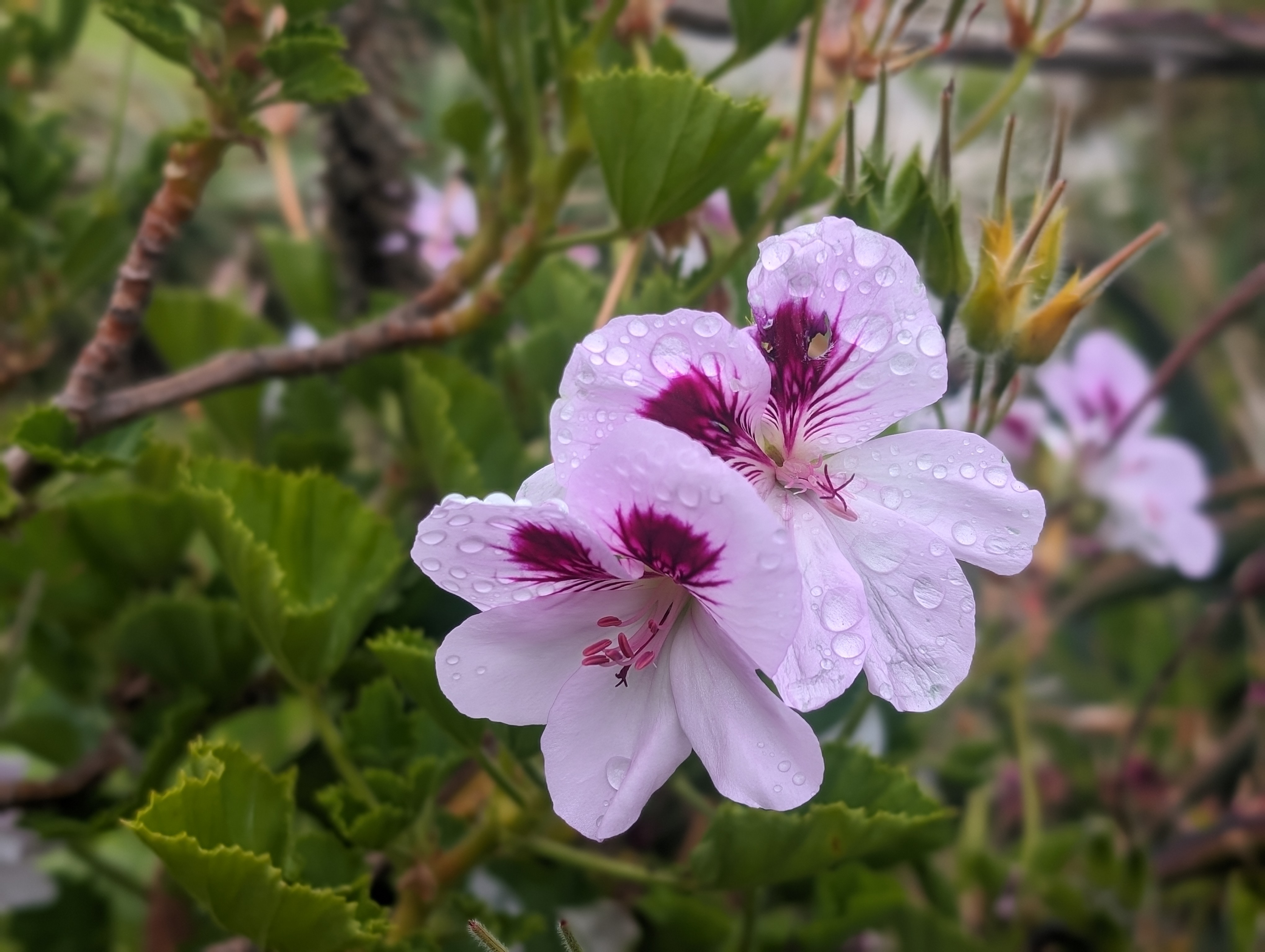 Photography Portfolio 19