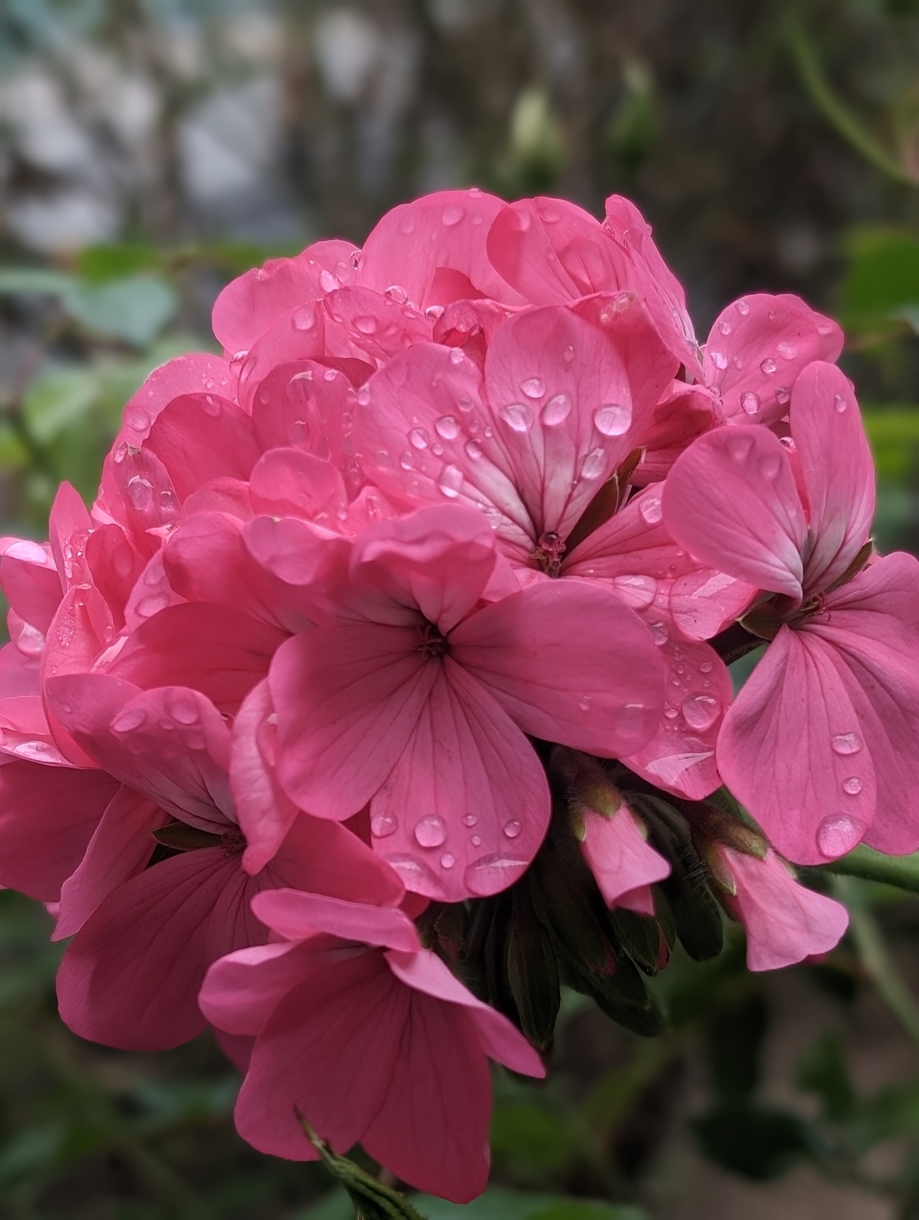 Photography Portfolio 20