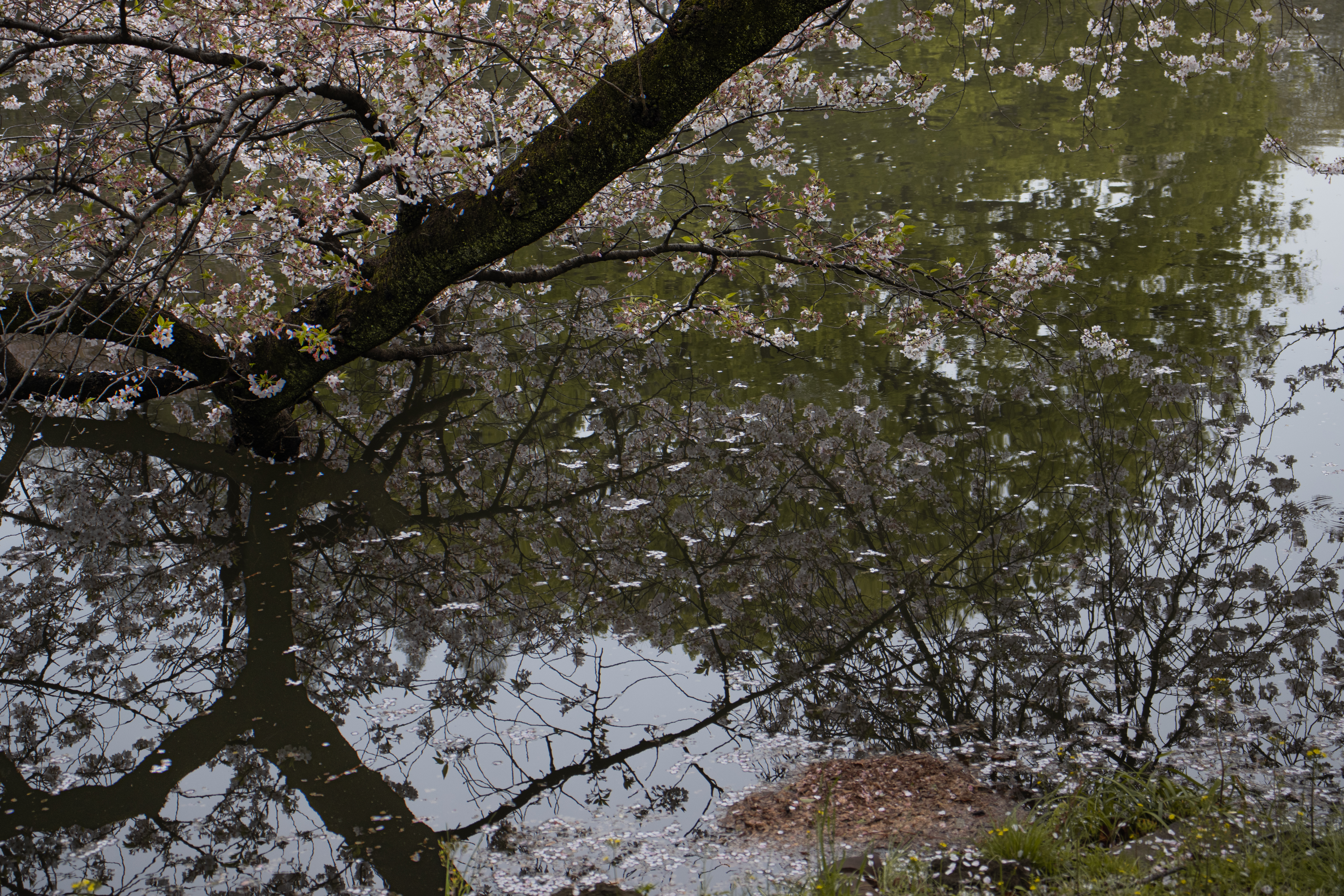 Photography Portfolio 39