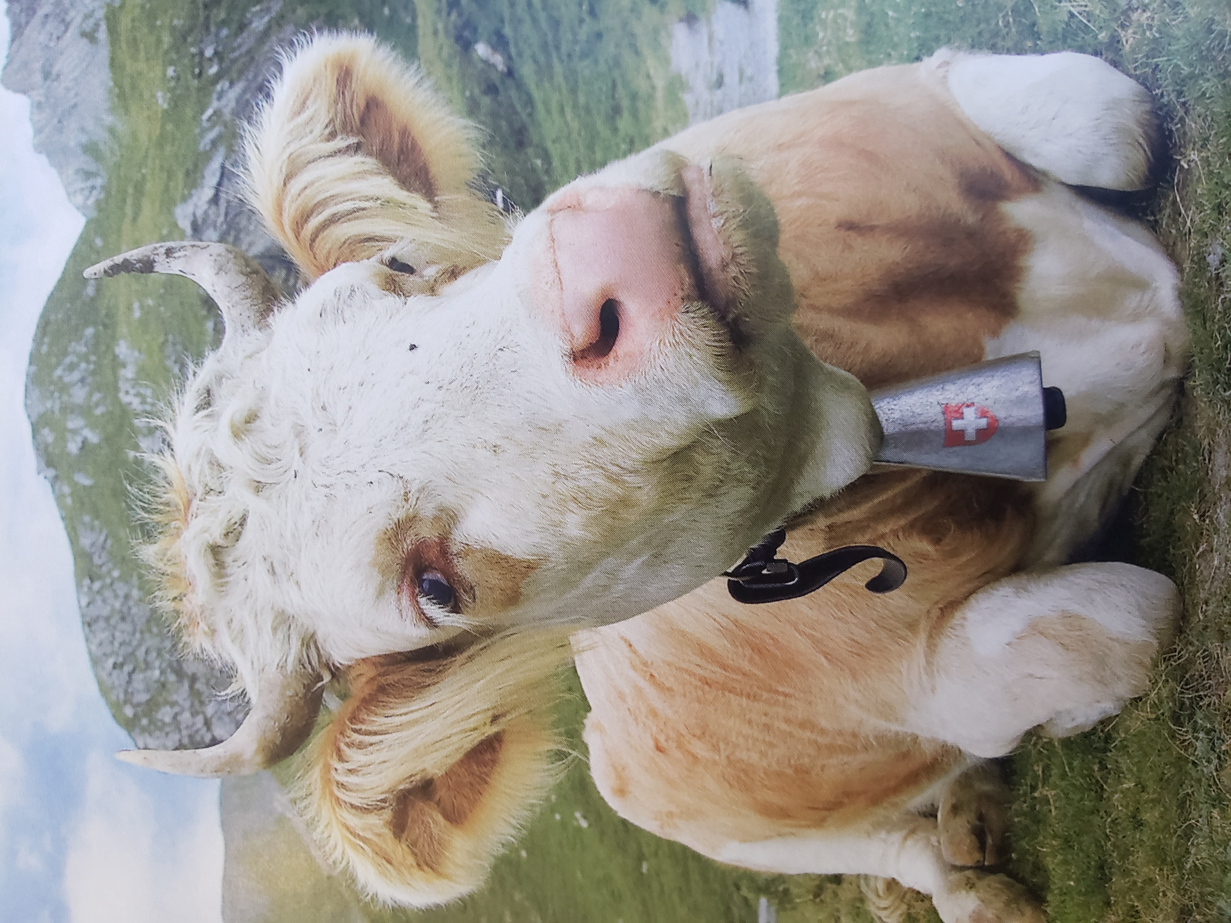 Photography Portfolio 34