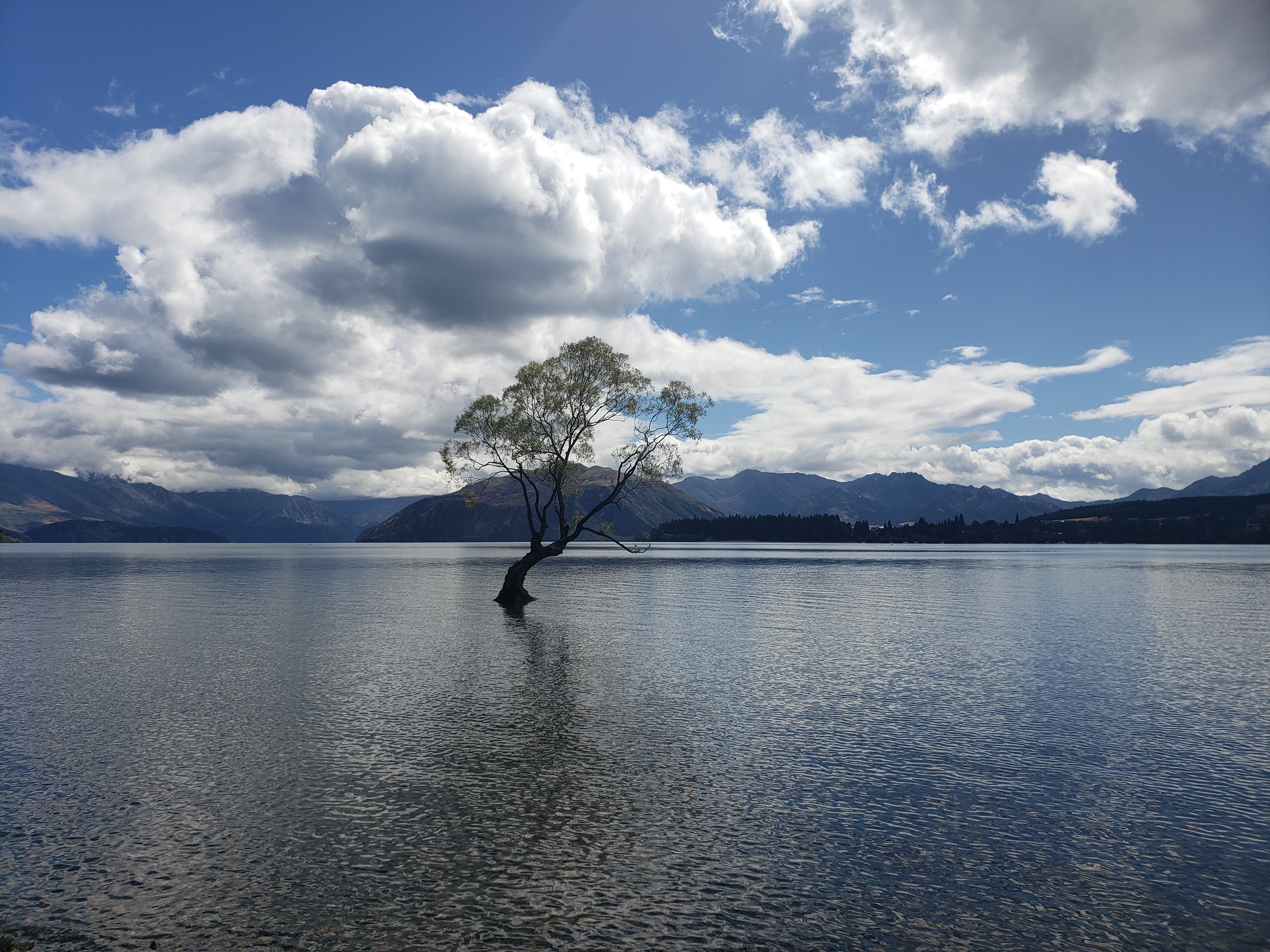 Photography Portfolio 42