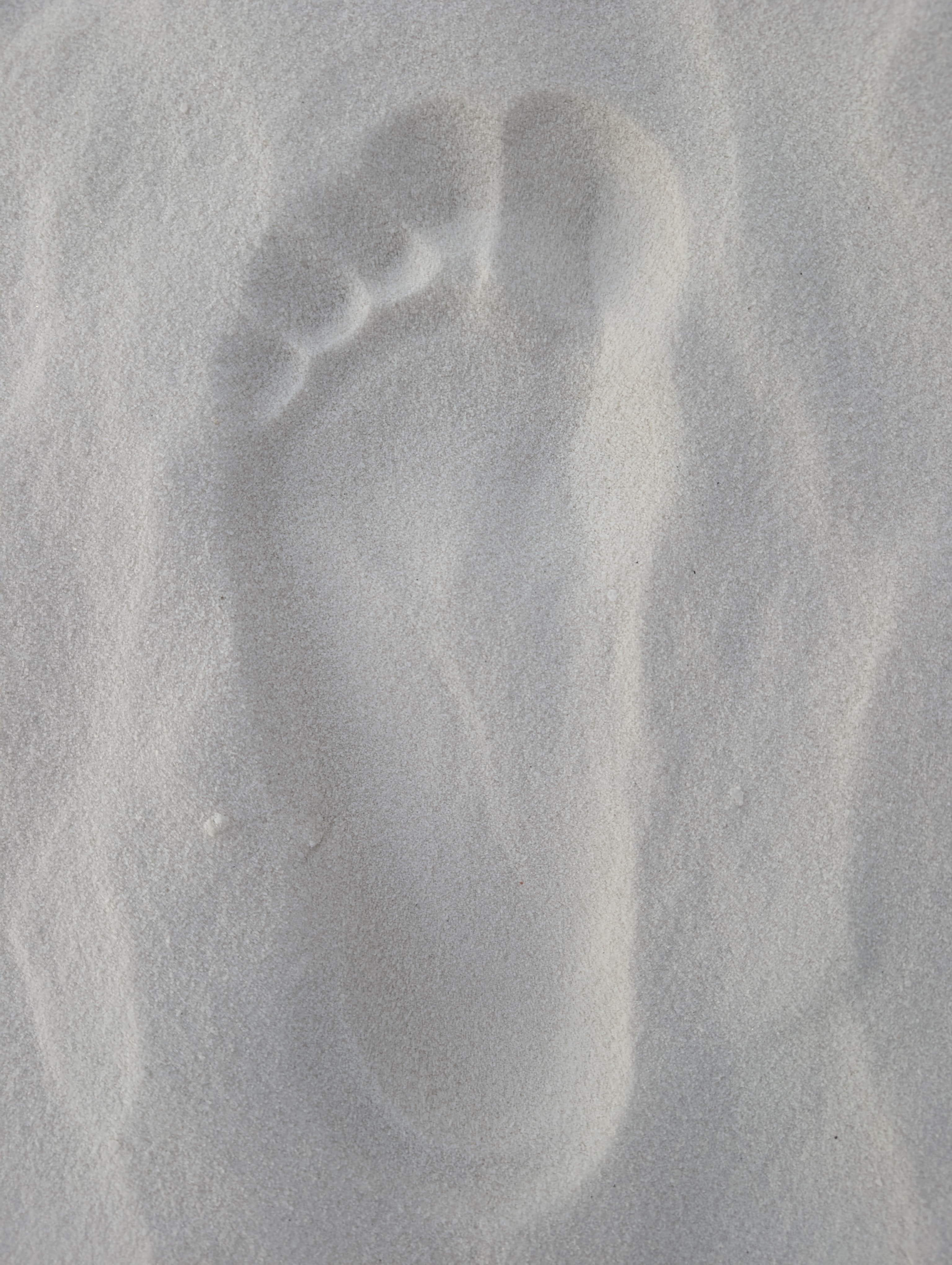 Photography Portfolio 43